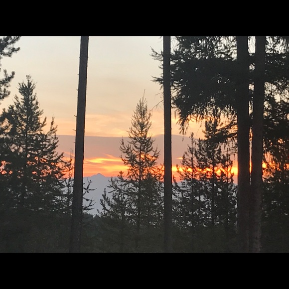 Meet your Posher, Amber - Picture 1 of 1